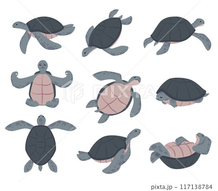Set of cute sea or ocean turtle animal in different poses flat style Set of cute sea or ocean turtle animal in different poses flat style 117138784