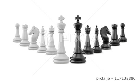 3d set of black and white chess pieces. 117138880