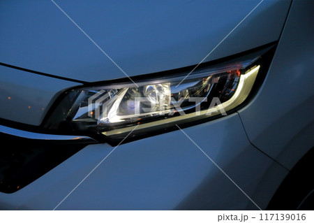 車のヘッドライト 車のヘッドライト 117139016