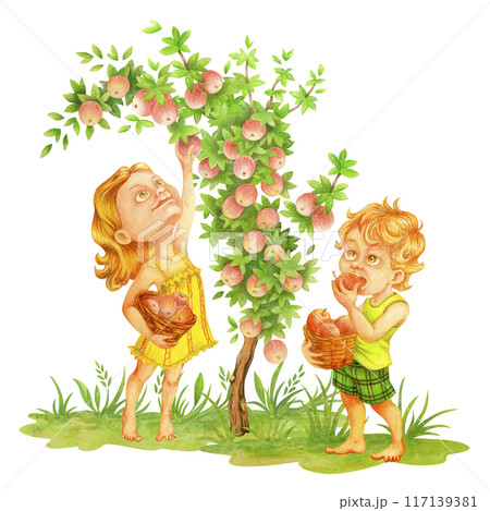 Happy little boy and girl picking apples. Apple harvest. Watercolor garden clipart with barefoot children. Isolated illustration of cartoon children in apple orchard for harvest day greeting card Happy little boy and girl picking apples. Apple harvest. Watercolor garden clipart with barefoot children. Isolated illustration of cartoon children in apple orchard for harvest day greeting card 117139381