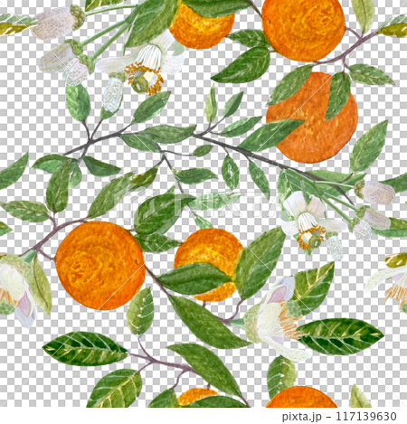 Orange branches adorned with vibrant leaves, delicate flowers, buds, and ripe fruits watercolor pattern. Hand-painted illustration captures the essence of nature, perfect for home decor, cards, and 117139630