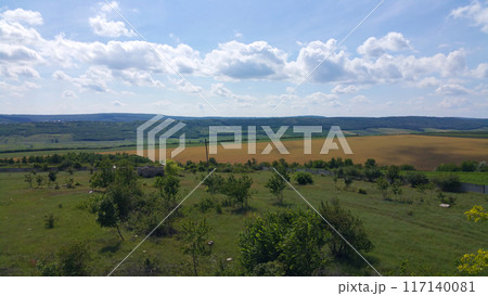 green and yellow meadows under blue sky and white clouds 117140081
