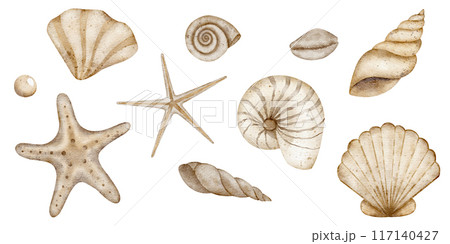 Underwater set of shells, starfish, pearl. Watercolor illustration, hand drawn nautical style, isolated for cards, posters, packaging, labels, invitations, congratulations 117140427