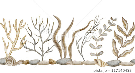Watercolor underwater seamless border with corals, algae. Illustration, hand drawn on a white isolated background for banner or wallpaper in nautical style Watercolor underwater seamless border with corals, algae. Illustration, hand drawn on a white isolated background for banner or wallpaper in nautical style 117140452