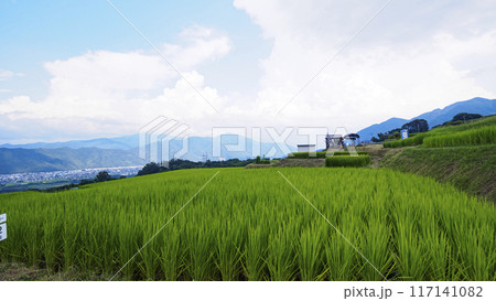 棚田のある風景（長野県千曲市姨捨の棚田） 117141082