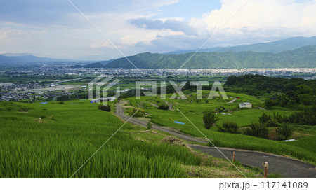 棚田のある風景(長野県千曲市姨捨の棚田) 棚田のある風景(長野県千曲市姨捨の棚田) 117141089
