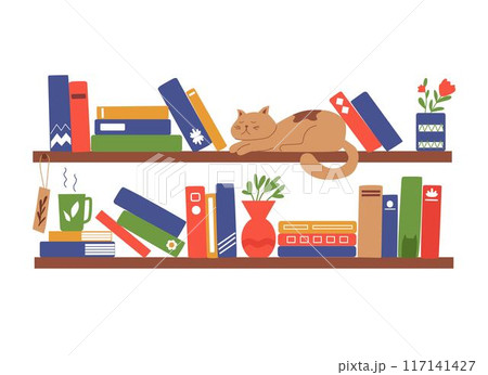 Book shelves. Books, cat and tea on the rack. Interior design. Vector flat illustration. Book shelves. Books, cat and tea on the rack. Interior design. Vector flat illustration. 117141427