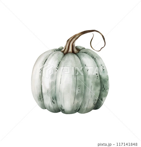 Watercolor illustration of green pumpkin Watercolor illustration of green pumpkin 117141848