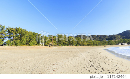 美しい海岸線 美しい海岸線 117142464