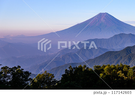 （山梨県）雁ヶ腹摺山から見る夏の富士山 117142603