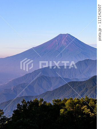 （山梨県）雁ヶ腹摺山から見る夏の富士山 117142607