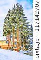 Watercolor stylization of image. Trees in the snow in front of family house 117142707