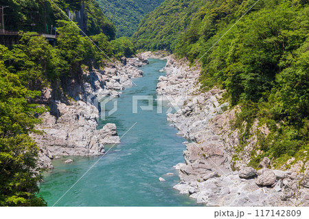 徳島県三好市　エメラルドグリーンの清流と渓谷美　大歩危峡 117142809