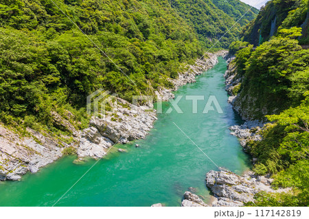 徳島県三好市　エメラルドグリーンの清流と渓谷美　大歩危峡 117142819