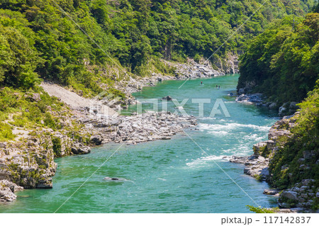 徳島県三好市　エメラルドグリーンの清流と渓谷美　大歩危峡 117142837