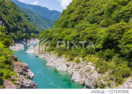徳島県三好市　エメラルドグリーンの清流と渓谷美　大歩危峡 117143308
