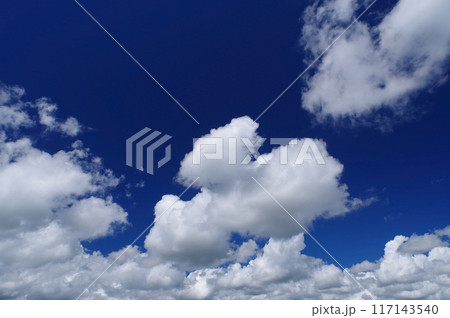 夏空に浮かぶ白い雲 夏空に浮かぶ白い雲 117143540