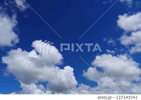 夏空に浮かぶ白い雲 夏空に浮かぶ白い雲 117143541