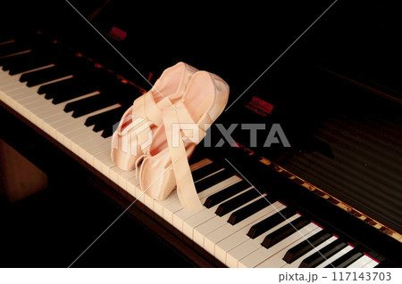 トウシューズ 117143703