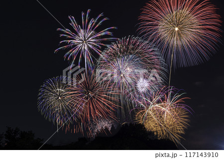戸田橋花火大会 117143910