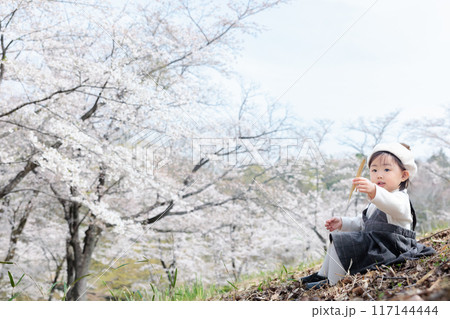 桜を見に来た乳幼児(1歳) コピースペース 桜を見に来た乳幼児(1歳) コピースペース 117144444