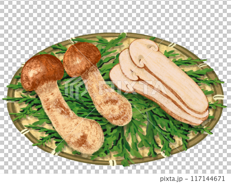 松茸（2 片和片），漏杓和柏葉 117144671