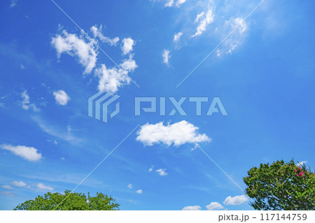 夏の雲と木立 夏の雲と木立 117144759