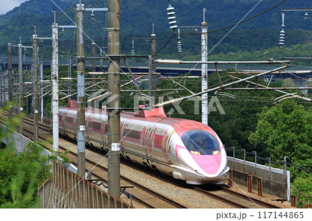 人気があるハローキティ新幹線 117144865