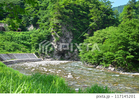 新緑の森林を流れる清津川　初夏の風景　新潟県十日町市 117145201