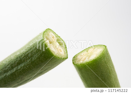 オクラ　イメージ 117145222