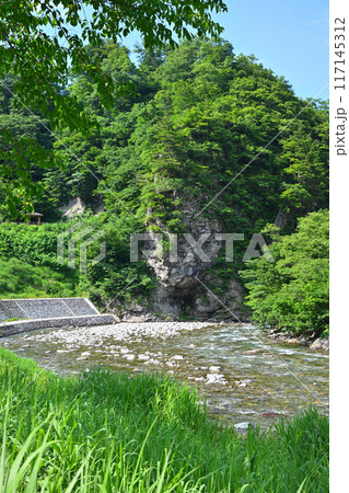 新緑の森林を流れる清津川 初夏の風景 新潟県十日町市 新緑の森林を流れる清津川 初夏の風景 新潟県十日町市 117145312