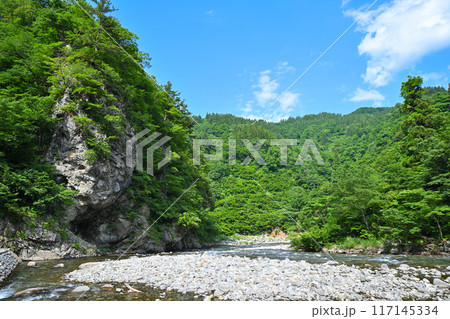 新緑の森林を流れる清津川 初夏の風景 新潟県十日町市 新緑の森林を流れる清津川 初夏の風景 新潟県十日町市 117145334