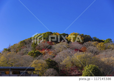 京都・桂川周辺の山の上の紅葉 117145386