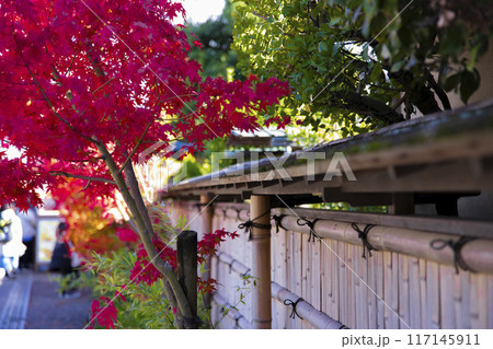 京都・桂川周辺の古い街並みと紅葉 117145911