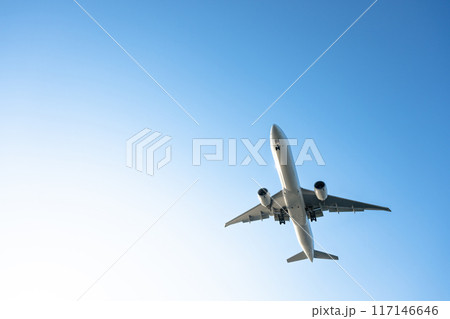 飛行する旅客機 117146646