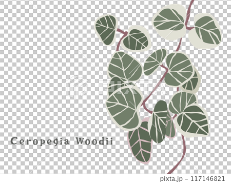 Heart Kazura 117146821