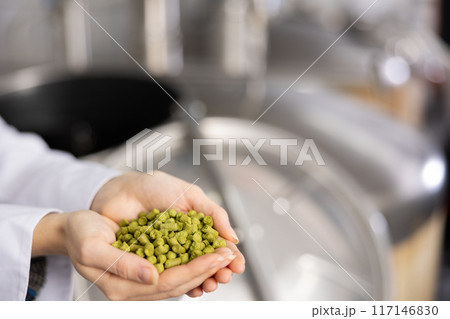 Handful of granulated hops in hands of female brewmaster 117146830