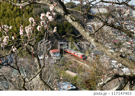 田浦梅林から見るトンネルと電車の風景 田浦梅林から見るトンネルと電車の風景 117147403