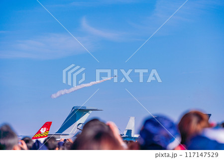 ブルーインパルス曲技飛行を見る観衆 117147529