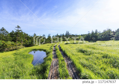 夏の尾瀬 鳩待峠〜横田代〜アヤメ平〜富士見峠 夏の尾瀬 鳩待峠〜横田代〜アヤメ平〜富士見峠 117147637