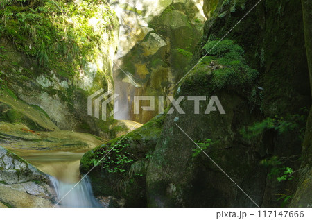 渓流風景 117147666