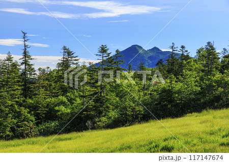 夏の尾瀬　鳩待峠〜横田代〜アヤメ平〜富士見峠 117147674