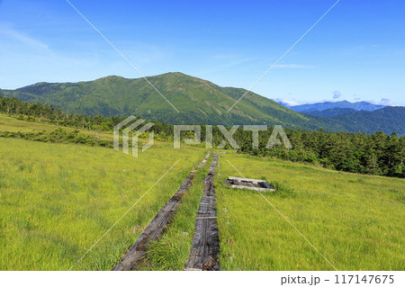 夏の尾瀬　鳩待峠〜横田代〜アヤメ平〜富士見峠 117147675