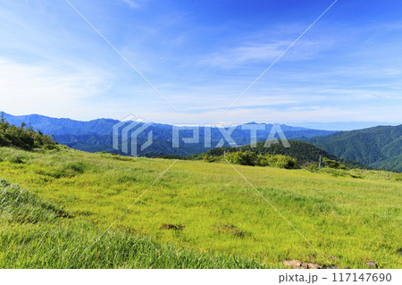 夏の尾瀬 鳩待峠〜横田代〜アヤメ平〜富士見峠 夏の尾瀬 鳩待峠〜横田代〜アヤメ平〜富士見峠 117147690