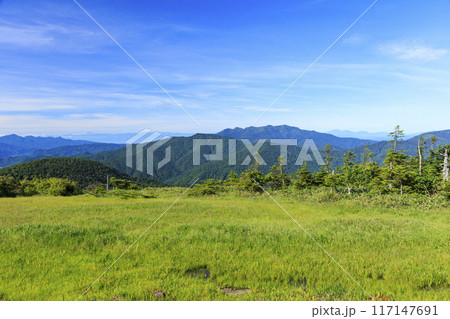 夏の尾瀬 鳩待峠〜横田代〜アヤメ平〜富士見峠 夏の尾瀬 鳩待峠〜横田代〜アヤメ平〜富士見峠 117147691