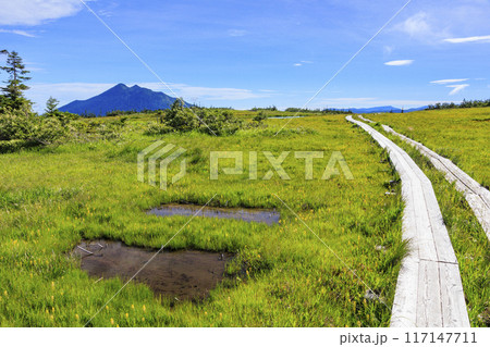 夏の尾瀬 鳩待峠〜横田代〜アヤメ平〜富士見峠 夏の尾瀬 鳩待峠〜横田代〜アヤメ平〜富士見峠 117147711