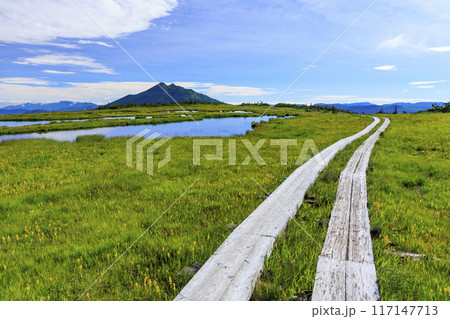 夏の尾瀬 鳩待峠〜横田代〜アヤメ平〜富士見峠 夏の尾瀬 鳩待峠〜横田代〜アヤメ平〜富士見峠 117147713