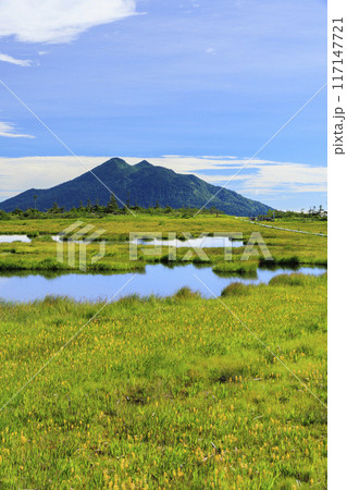夏の尾瀬　鳩待峠〜横田代〜アヤメ平〜富士見峠 117147721