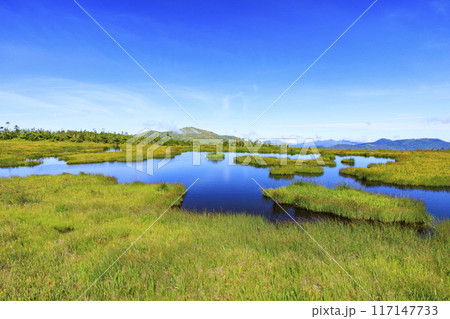 夏の尾瀬 鳩待峠〜横田代〜アヤメ平〜富士見峠 夏の尾瀬 鳩待峠〜横田代〜アヤメ平〜富士見峠 117147733