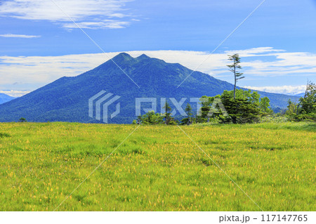 夏の尾瀬 鳩待峠〜横田代〜アヤメ平〜富士見峠 夏の尾瀬 鳩待峠〜横田代〜アヤメ平〜富士見峠 117147765